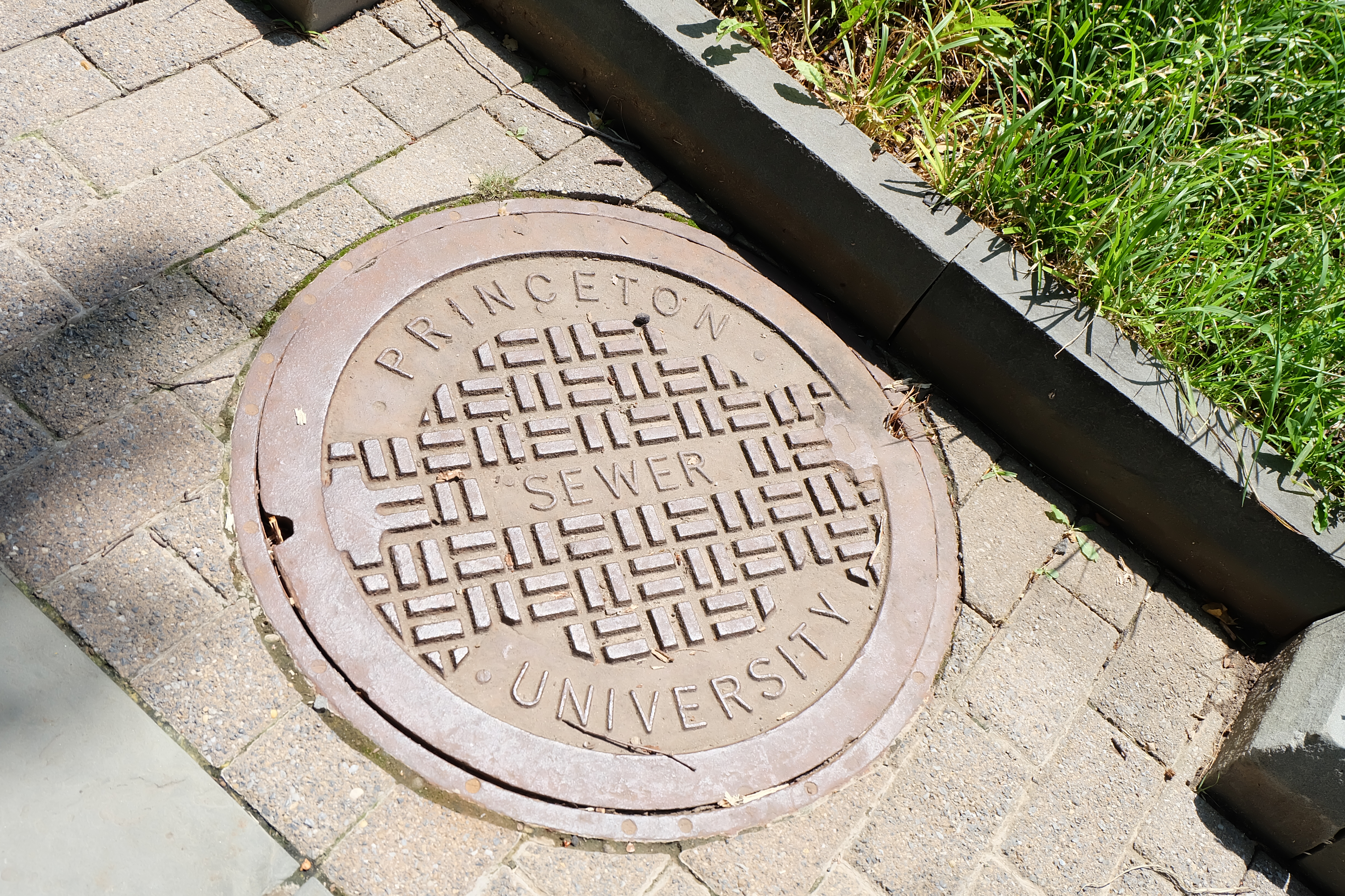 Princeton sewer university